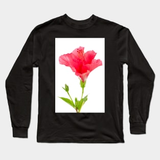 Beautiful pink hibiscus flower Long Sleeve T-Shirt